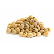 soy beans